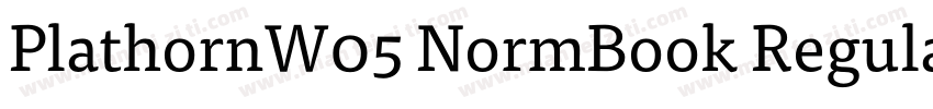 PlathornW05 NormBook Regular字体转换